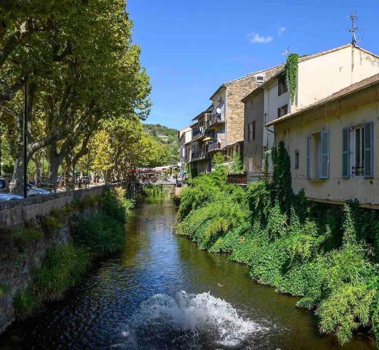 Le Pearl De Charme En Bord Riviere Collobrieres